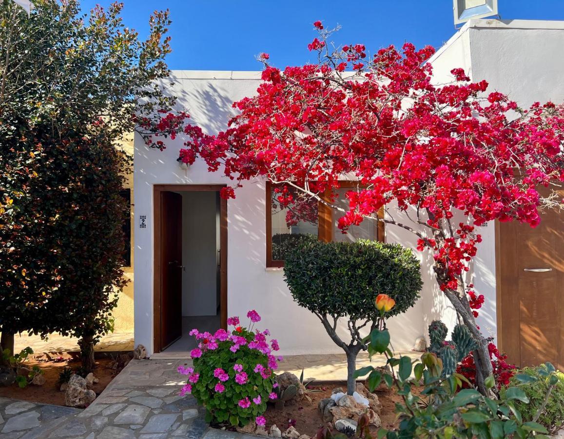 Kali Holiday Apartments Stalida Dış mekan fotoğraf